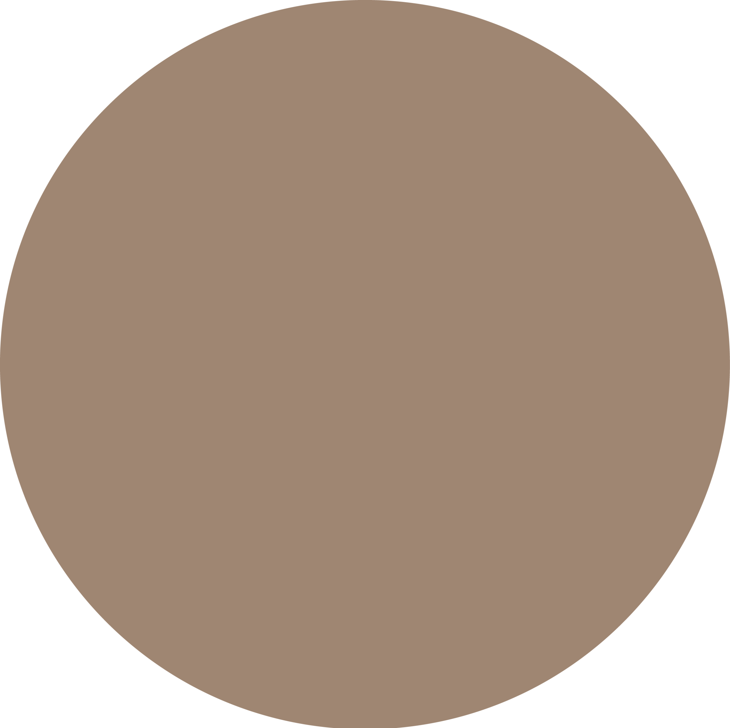 Color Marrón claro, productos de Cerámicos Gala